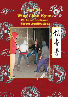 Wing Chun Book 4